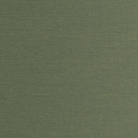 fern 00a50
