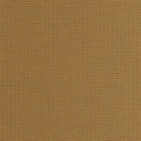 Corn 00a52