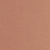 amber 00a55