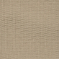 bloom  frappé  back  01411