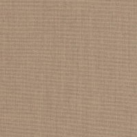 walnut 00079