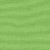 parrot green 00138