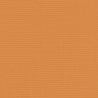 pumpkin 00036