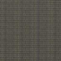 graphite moss 01095