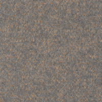 grey pumpkin 01185