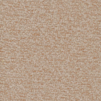 beige pumpkin 01184