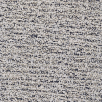 blueberries 01419