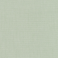 parrot green 01163