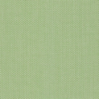 parrot green 00347