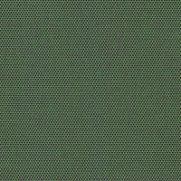 fern 01004
