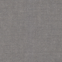 silver grey 00419