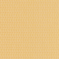 cornfield 01020