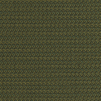 jungle 01027