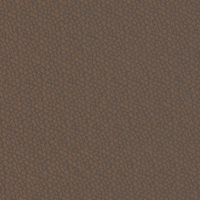 00463 copenhagen chocolate brown
