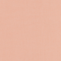 salmon 01170